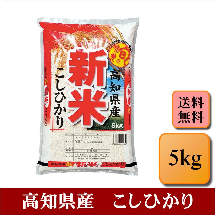 新米　令和５年産　高知県産　こしひかり　5kg　米　お米　おこめ　白米　精米　