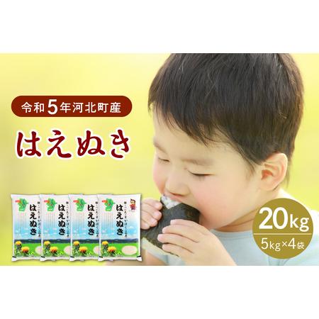 ふるさと納税 2024年8月下旬発送 はえぬき20kg（5kg×4袋） 山形県産  山形県河北町