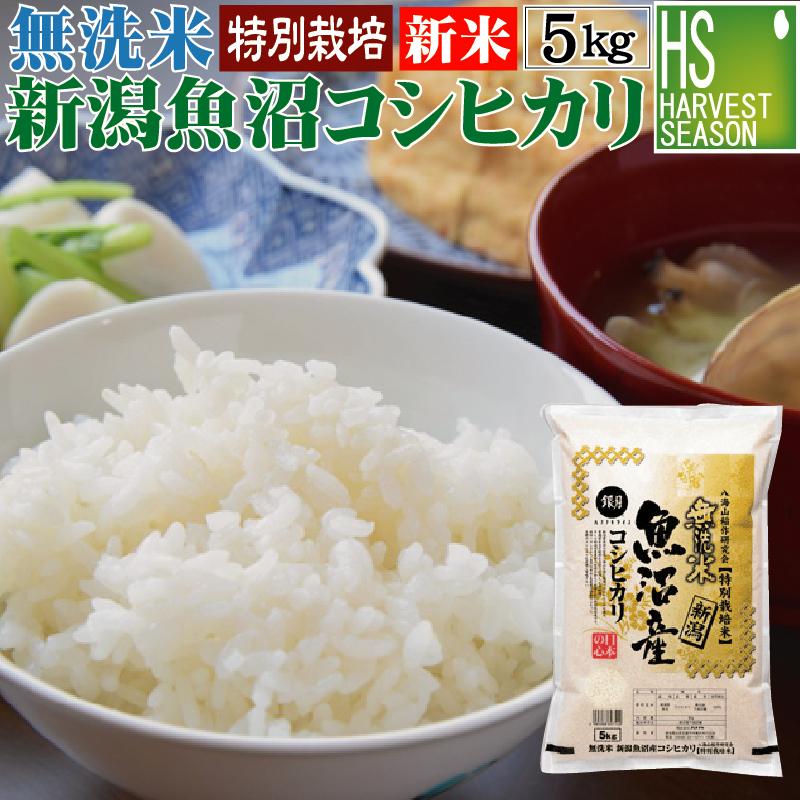 新米 無洗米  5kg 新潟県 魚沼産 コシヒカリ 令和5年産 送料無料 特別栽培米 特A