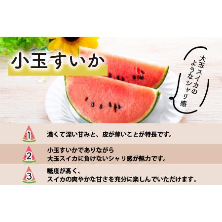 ふるさと納税 日を分けて2度楽しめる！小玉すいか・おすすめメロン 2種セット(2玉入)   あわら 期間限定 果物 フルーツ 産地直送 .. 福井県あわら市