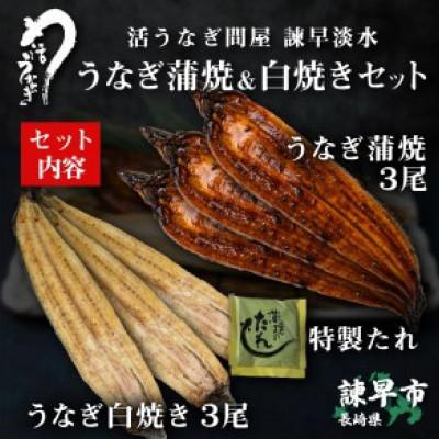 ふるさと納税 諫早市  うなぎ蒲焼3尾白焼き3尾セット