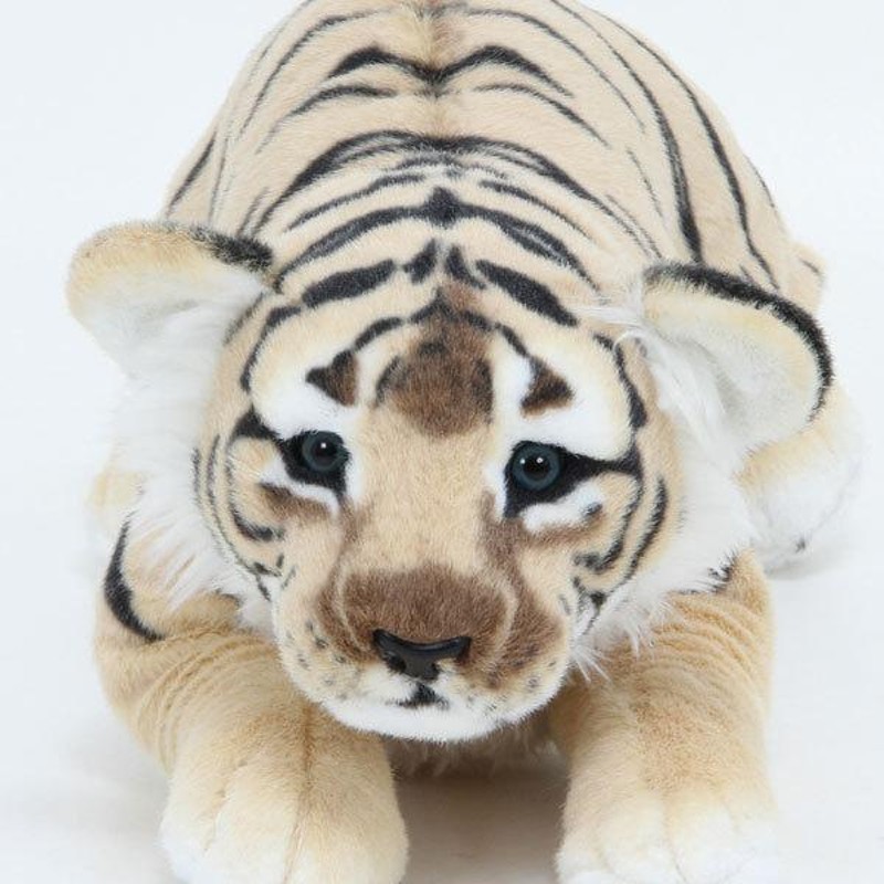 ぬいぐるみ ホワイトタイガー 60cm タイガー とら トラ 虎 寅