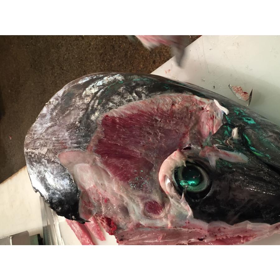 本マグロ　ホホ肉　1Kg