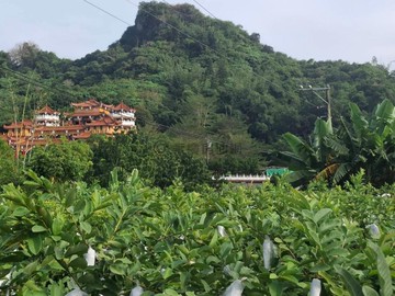 燕巢金山路旁雙面臨路6.4分大地坪農地｜高雄市燕巢區金山段