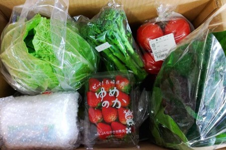 長崎県産　季節の野菜BOX