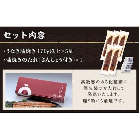 ふるさと納税 くすだ屋の鰻　5尾（170ｇｘ5） 鹿児島県大崎町