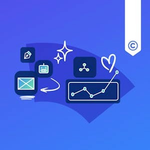 Audience & Attribution Analytics