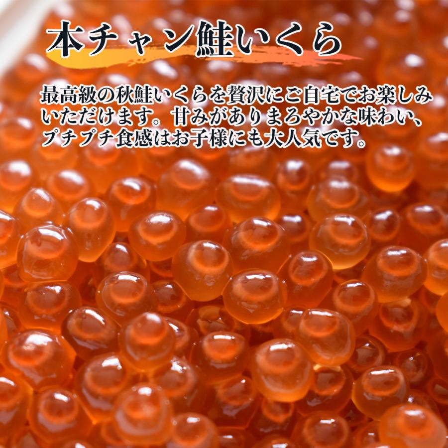 冷凍 秋鮭 いくら 醤油漬 500ｇ（250ｇ×2パック）北海道産“本ちゃん” 鮭いくら 送料無料