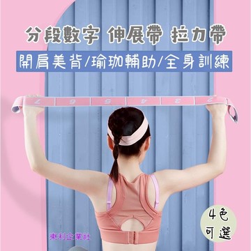 東利企業社 瑜珈 分段數字 拉力帶 彈力帶 開背 開肩 健身 女 伸展帶 拉力繩 阻力訓練器材 瑜珈輔助 健身 阻力帶