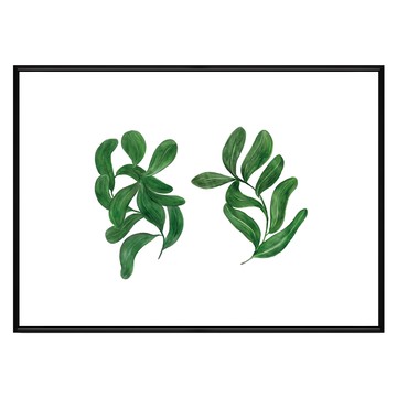 Boluo 菠蘿選畫所 植栽生活 扭扭葉 掛畫 59.4 x 42cm 黑色