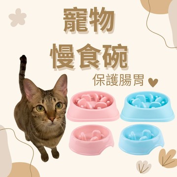 ［台中現貨 出清下殺］貓咪慢食碗 慢食碗 寵物慢食碗 狗狗慢食碗