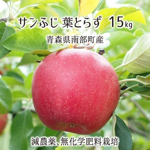 サンふじ 葉とらず 15kg 減農薬 無化学肥料 青森県南部町産 りんご 家庭用 39〜60玉 11月下旬〜3月下旬 送料無料