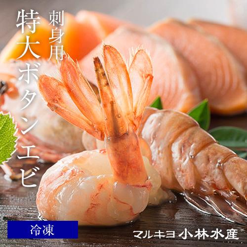 お刺身用 特大 ボタンエビ 500g（7〜8尾）