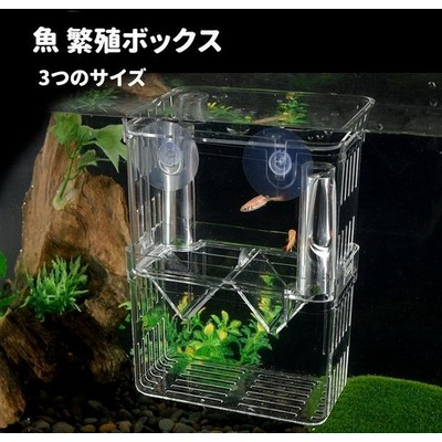 水槽孵化 産卵箱 魚とエビ 稚魚飼育箱 水槽 隔離ケース 金魚 水族館 産卵ケース 隔離ケース 多機能産卵箱 稚 隔離用品 Www Abonamas Lt