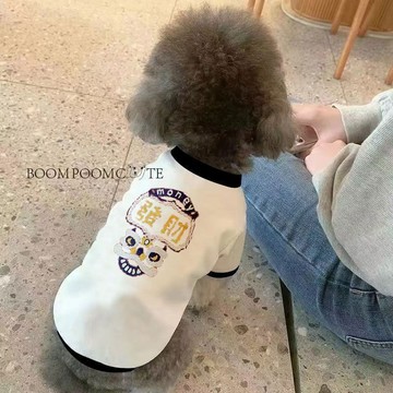 💕在臺出貨🔥寵物狗狗貓咪春夏衣服潮牌寵物卡通中小型犬服裝薄款柯基泰迪法鬥 貓咪衣服 狗狗衣服 寵物衣服 貓衣服 狗衣服