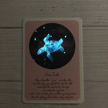 星空明信片 綠蠵龜 (螢光)
