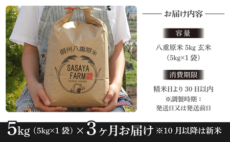 八重原米5kg（5kg×1袋）玄米