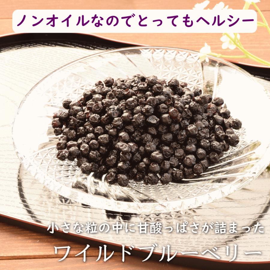 ドライフルーツ ワイルドブルーベリー 1kg(500g×2) ノンオイル アメリカ産 野生種 おつまみ ギフト