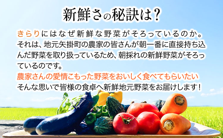 旬の新鮮野菜とお米詰め合わせセット 野菜5～10品目入 青空市きらり《30日以内に順次出荷》岡山県 矢掛町 野菜 野菜詰め合わせ 米 米3kg トマト きゅうり アスパラガス 玉ねぎ リーキ 送料無料---osy_ckrrrys_30d_23_14000_s---