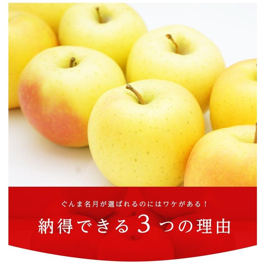 送料無料 青森県産 りんご ぐんま名月 9-11玉 約3kg りんご ぐんま名月 3kg りんご 青森 りんご 3kg 送料無料 群馬名月 ギフト 贈答 フルーツギフト