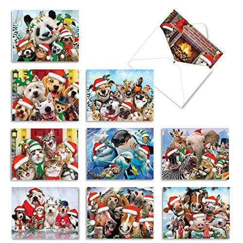 グリーティングカード |Merry Christmas to動物園クリスマスユーモアカード 10 Assorted Christmas Cards