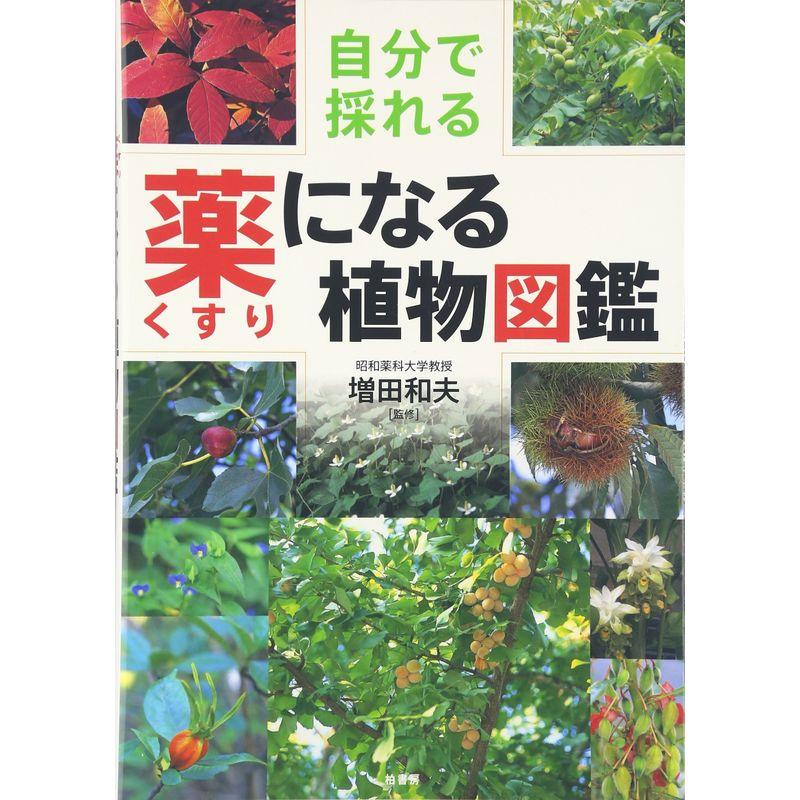 自分で採れる薬になる植物図鑑