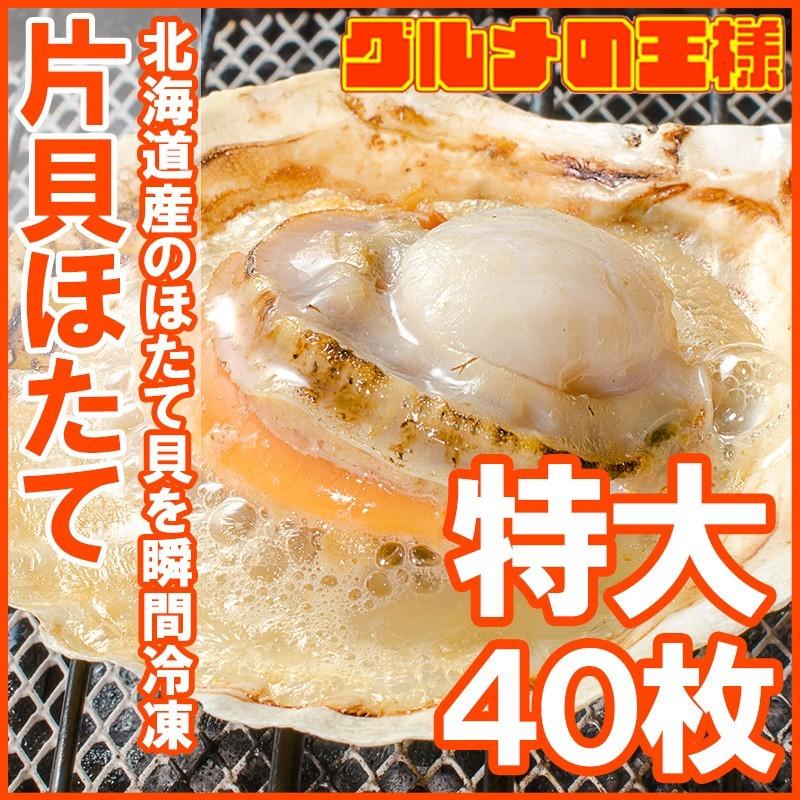 ホタテ ほたて 特大 片貝ほたて 40枚 10枚×4袋 （殻付きほたて 帆立 貝 バター焼き 浜焼き バーベキュー BBQ 業務用 築地市場 ギフト）