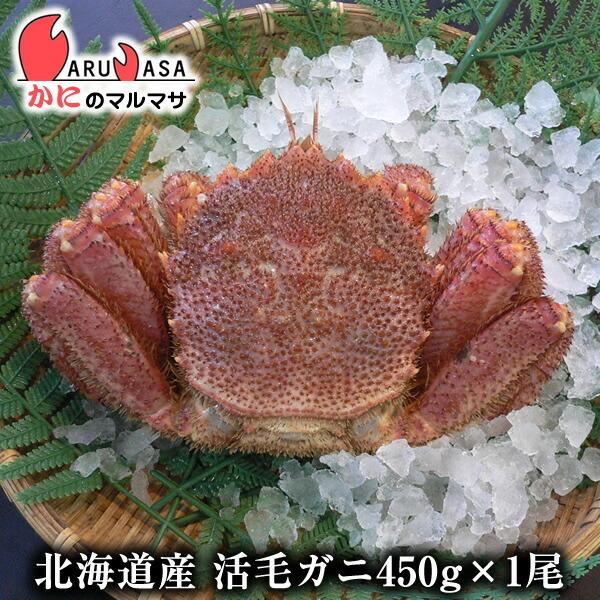 活毛がに 450g 1尾 北海道産 極上毛ガニ お歳暮 ギフト お土産 通販 あすつく北海道