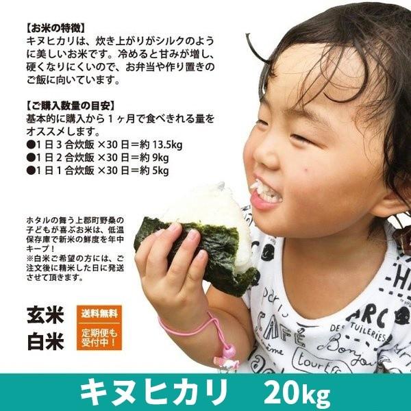 令和5年度産 　キヌヒカリ　精米　白米　20kg　兵庫県上郡町産　送料無料