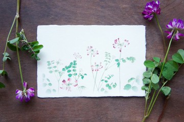 和紙繪葉卡【蓮華綻放】