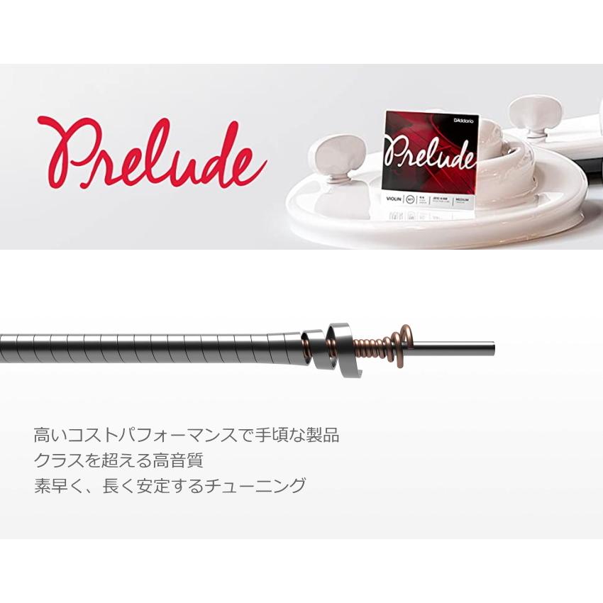 D'Addario DADDARIO バイオリン弦 Prelude セット J810 2M Medium Tension