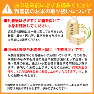 ※2024年5月下旬スタート※ はえぬき30kg（10kg×3ヶ月）定期便 山形県産