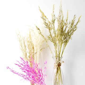 Lmdec干花裝飾品 燕麥干花  花瓶裝飾麥子干花擺設