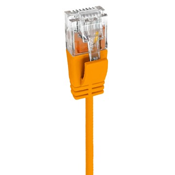 POLYWELL CAT6 極細高速網路線 RJ45 福祿克認證 PW15-W58-S002  20cm  橘色  1條