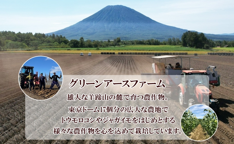 北海道 倶知安町産 長芋 2L×約6本 計5kg 春堀り 芋 ながいも とろろ 新鮮 フレッシュ 野菜 農作物 産直 山芋 麦とろ 山かけ おつまみ グリーンアースファーム 送料無料 北海道 倶知安町