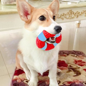 狗狗玩具發聲柯基狗解悶神器小型犬幼犬磨牙耐咬狗咬小狗寵物用品