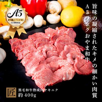 ふるさと納税 小山市 おやま和牛 A5 極 熟成肉ヤキニク 約400g