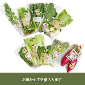 ふるさと納税 有機野菜おまかせ８種セット０７ 山梨県北杜市