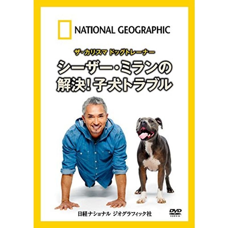 DVD ザ・カリスマ ドッグトレーナー シーザー・ミランの 解決 子犬トラブル