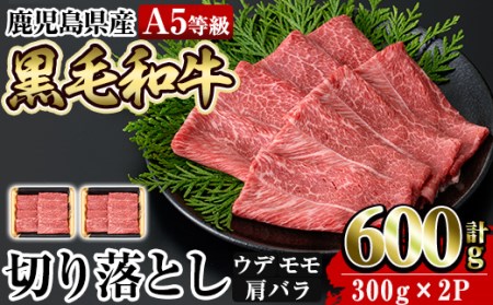 a855 ≪A5等級≫鹿児島県産黒毛和牛切り落とし計600g(300g×2P)