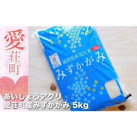 ふるさと納税 滋賀県愛荘町産　みずかがみ5Kg　令和5年産 AC03 滋賀県愛荘町