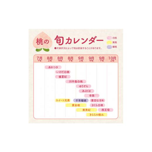 ふるさと納税 山形県 東根市 白桃 (品種おまかせ) 2kg (5〜8玉) 東根農産センター提供