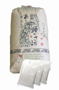 宮城県登米市産つや姫精米27kg（9kg×3袋）