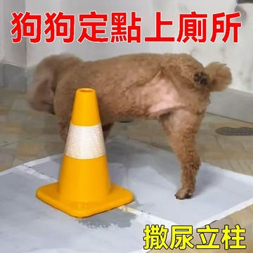 狗狗尿尿立柱引導公狗拉尿神器停車樁子小狗雪糕桶錐筒定點上廁所