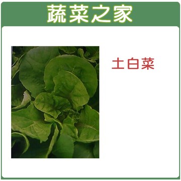 【蔬菜之家】A04.土白菜種子(共有2種包裝可選)