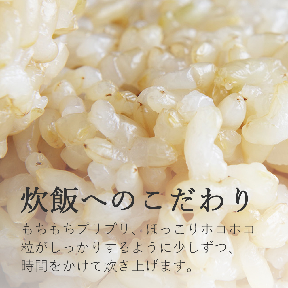 玄米 おにぎり 鶏とたけのこ 手作り おむすび 冷凍