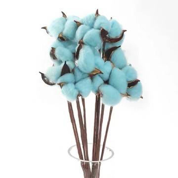 天然棉花鐵桿 花頭4-5cm 總長度約36cm 單朵出售  藍色