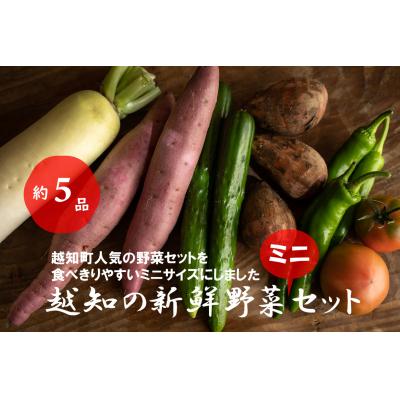 ふるさと納税 越知町 越知産市の季節の野菜ミニセット　産地直送　旬野菜