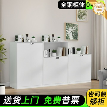 【帶鎖安全收納】文件櫃 矮櫃 儲物櫃 辦公櫃 鐵皮櫃 隔斷櫃 密碼鎖 多層儲物 辦公室隔斷 桌面收納 資料文件整理