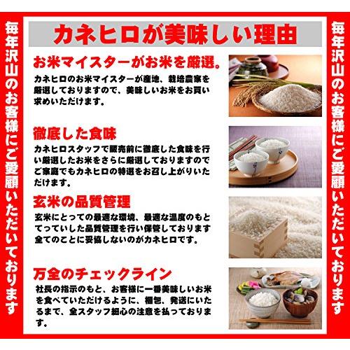 新米 埼玉県産 無洗米彩のきずな 5kg白米（検査一等米） 5年産